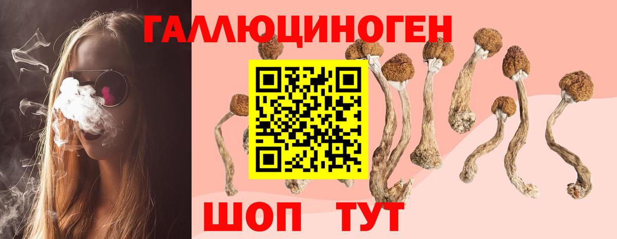 Октябрьский  продажа наркотиков  Псилоцибиновые грибы Psilocybe  Вход с VPN  Галлюциногенные грибы ЛСД 
