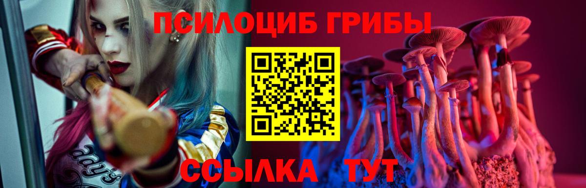 Галлюциногенные грибы Magic Shrooms Октябрьский